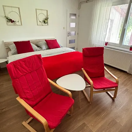 Apartman Vendy Karlovy Vary Exterior photo