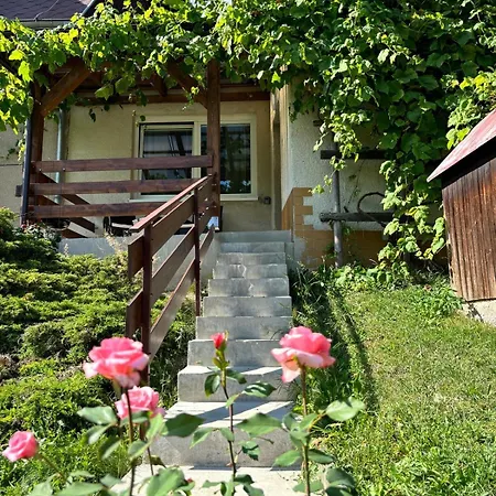 Apartman Vendy Karlovy Vary Exterior photo