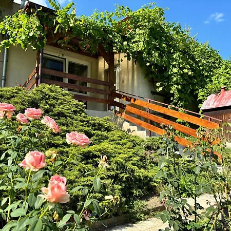 Apartman Vendy Karlovy Vary Exterior photo